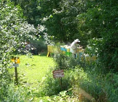 Maitre-et-compagnon-apiculture4