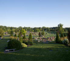 horticulture-3