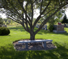 horticulture-5